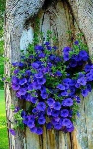 blue stuff floral.jpg