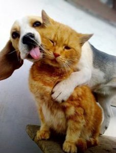 Adorable @.jpg