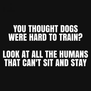 dog-training.jpg