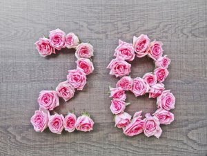 Number 28 @.jpg