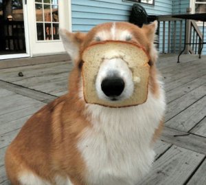 Disguised @.jpg