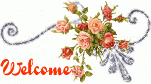 1fb596c10690c329fb4f5b7f03fd58c9[1].gif