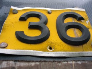 Number 36 @.jpg