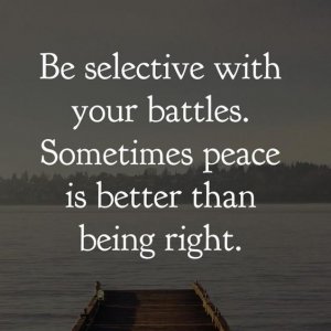 c88dd0995d7b23a31f326459f7bc2733[1].jpg