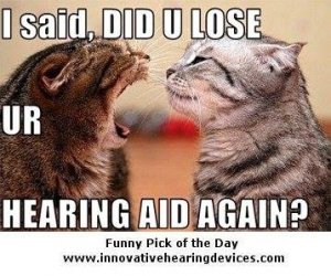 losehearing.jpg