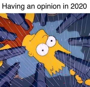 opinionin2020.jpg