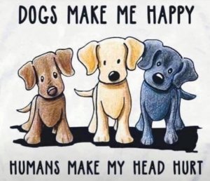 dogshappyhumansheadhurt.jpg