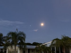 91418B51-73DF-49AF-A07B-49212E06AA1E.jpeg