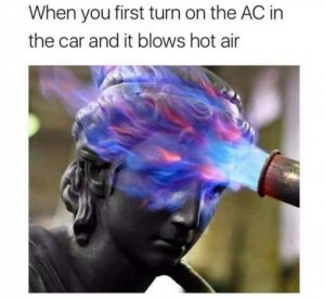107418335_3083178265110725_8246641597092035063_n[1].jpg