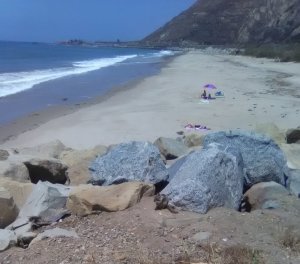 IMG_20200708_124042.jpg IMG_20200708_124042.jpg