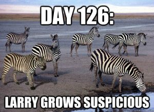 4F451F2A-36D3-4481-8847-094AEBF576E0.jpeg