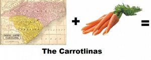 carrotlinas.jpg