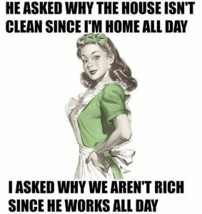 houseclean.jpg