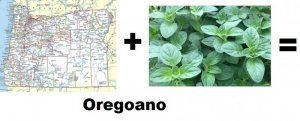 oregano.jpg