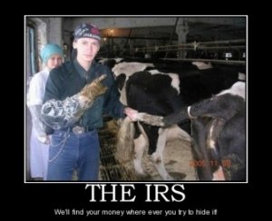 the-irs-irs-taxes-hiding-cows-funny-politics-1315162596.jpg