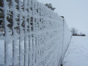 100_0466.JPG