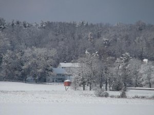 DSCF0694.jpg