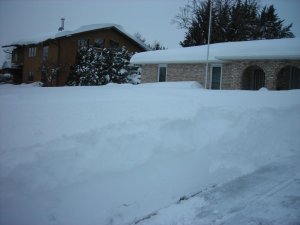 DSCN1501.jpg