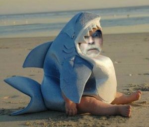 me-in-shark-suit.jpg