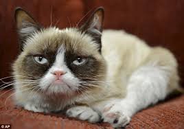 sourpuss.jpg