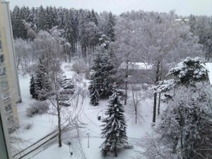 Winter Finland.jpg