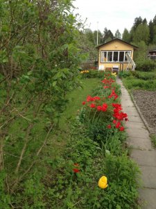 Cottage in Springtime.jpg