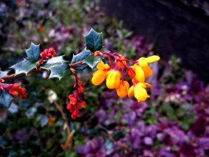 100_2328.JPG