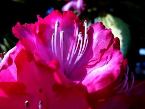 100_2336.JPG