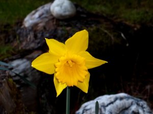 100_2344.JPG