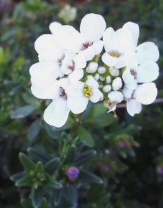 100_2376.jpg