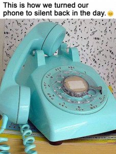 86469106_863036957478926_7070302161116069888_o.jpg