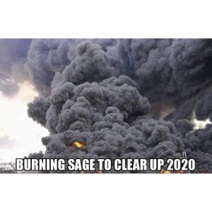 burningsage2020.jpg