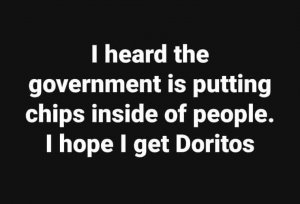 govtchips.jpg