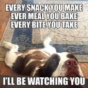 illbewatchingyou.jpg
