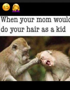 momdohairmonkey.jpg