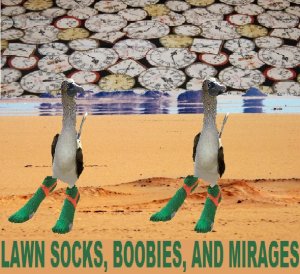 lawn socks. boobies,and mirages.jpg