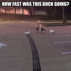 FB_IMG_1594686946908.jpg
