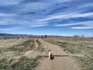 IMG_20200401_104620084_HDR.jpg IMG_20200401_104620084_HDR.jpg