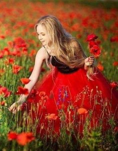 red poppy stuff 22.jpg