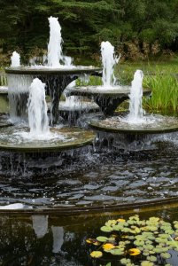 Cambridge Botanic Gardens-19.jpg
