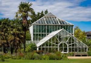 Cambridge Botanic Gardens-21.jpg