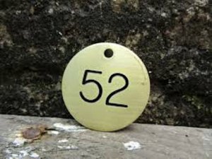 Number 52 @.jpg