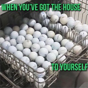 b.jpg