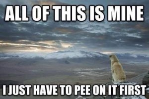 B17CA169-BB6C-4B1B-9D8B-5955E7E05855.jpeg