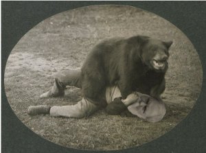 buds wrestling .jpg