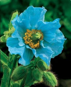 turquoise stuff.jpg