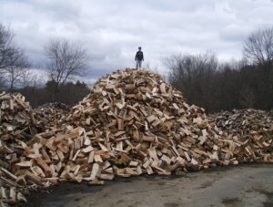 wood.jpg