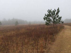 IMG_0214.JPG