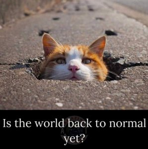 worldnormalyet.jpg