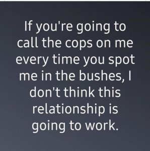 copsbushes.jpg